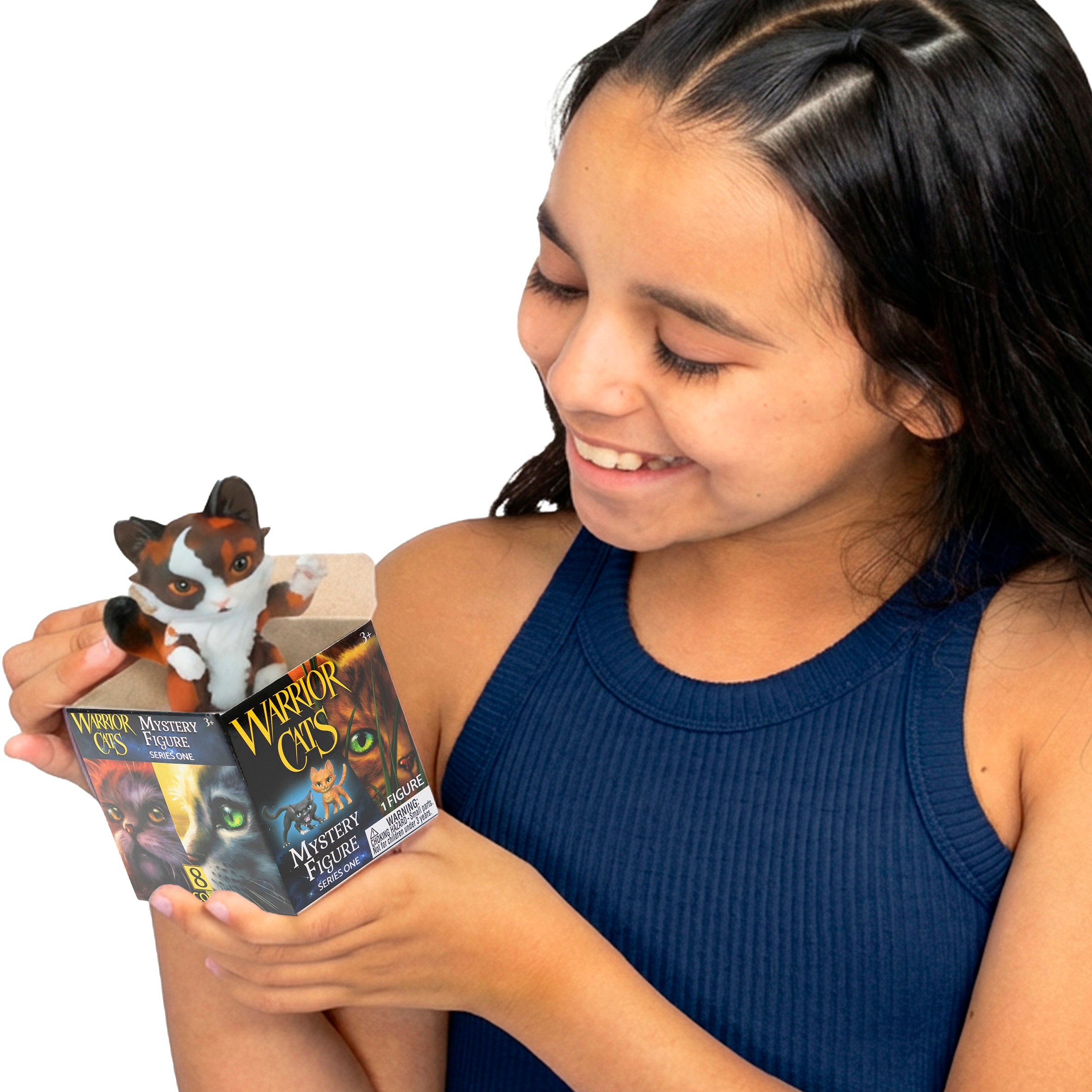 Warrior Cats Mystery Figures - Series 1