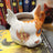 Brightheart Mug