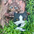 Berryheart & Splashtail - Mini Collector Figures (Series 7)