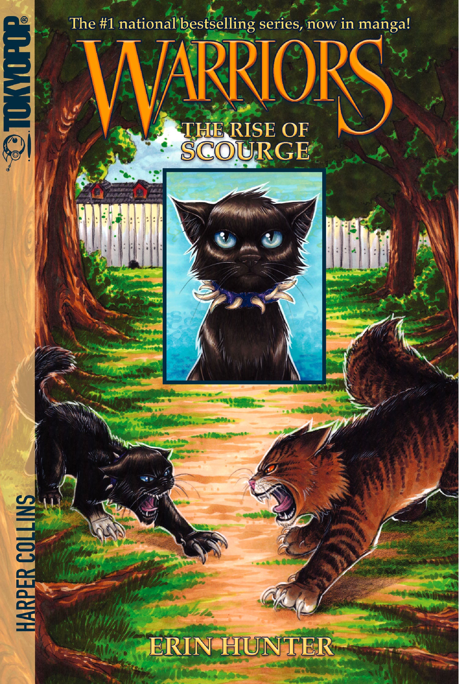 Warriors The Rise Of Scourge Book