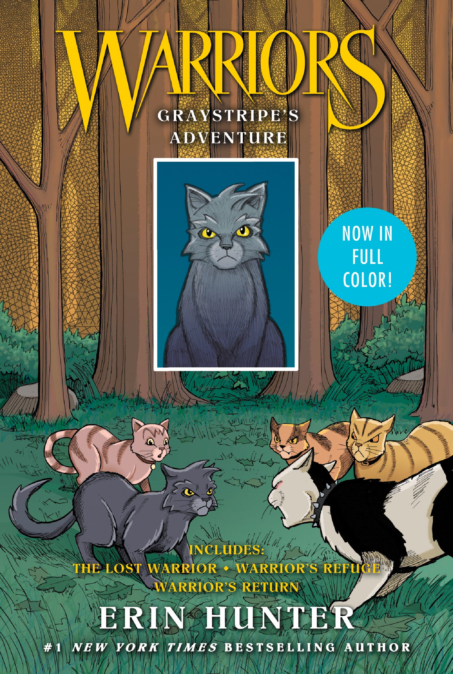 Warriors Graystripe's Adventure Book