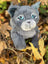 Bluestar Large Plush Cat