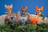 Tigerstar & Tawnypelt – Mini Collector Figures (Series 1)
