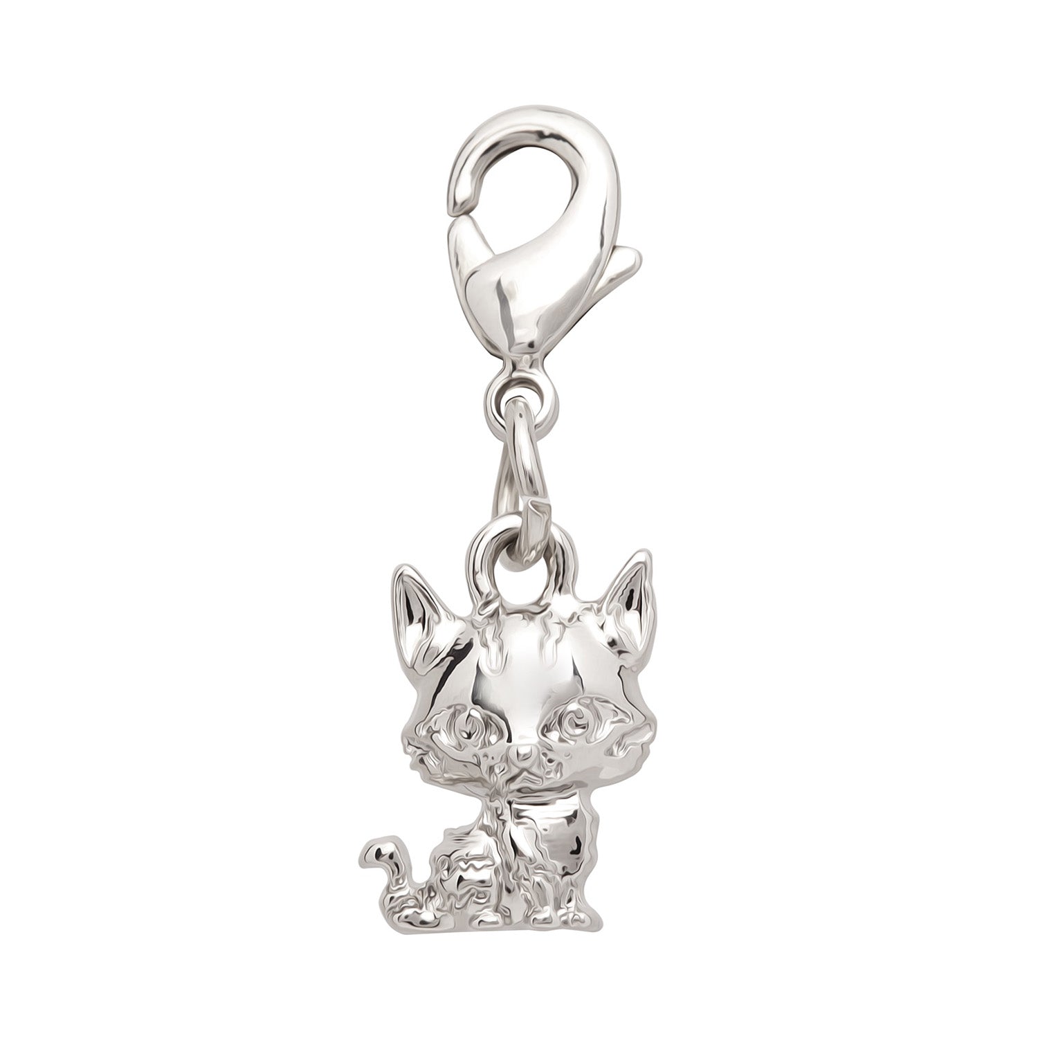Warrior Cats Leafstar Charm