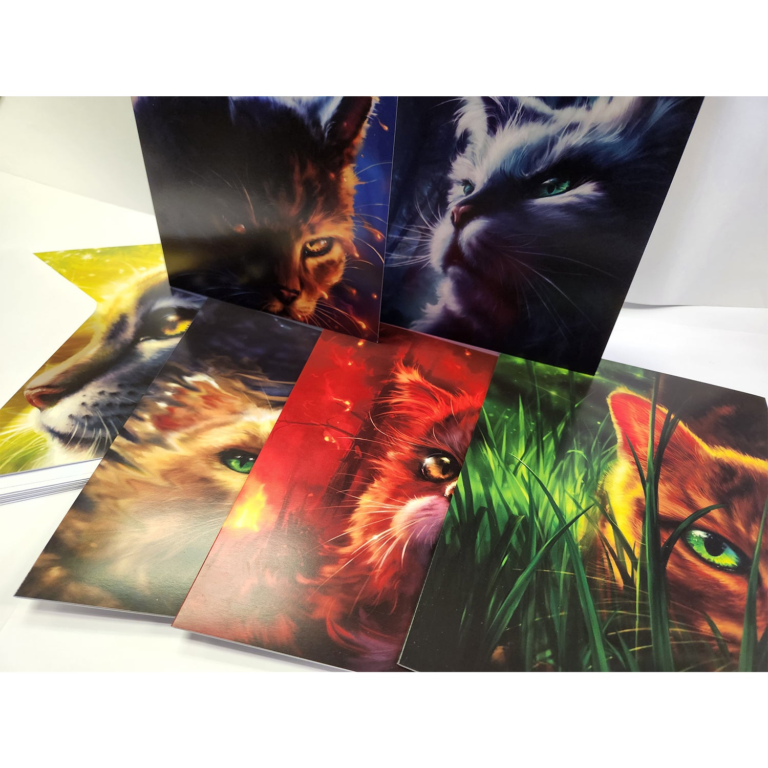 Warrior Cats Series 1 Card Set