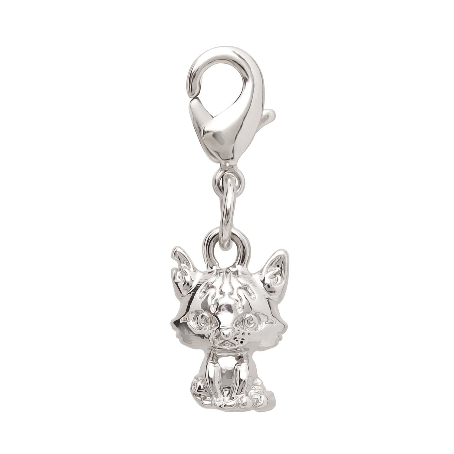 Warrior Cats Tigerstar Charm