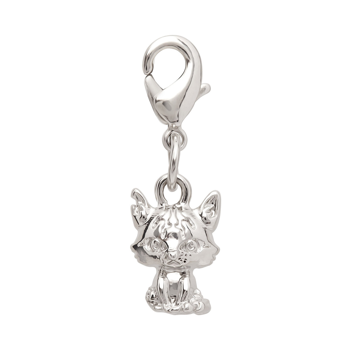 Warrior Cats Tigerstar Charm
